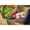 66acb9223594570034fb840f585122f5.webp Osmocote Plus Outdoor Indoor Plant Food
