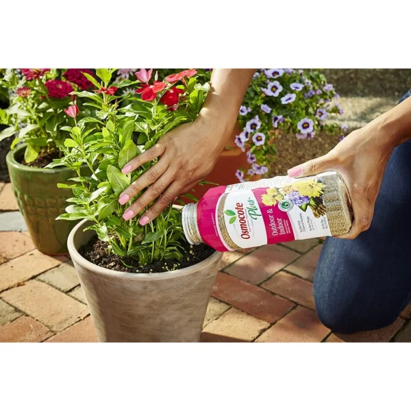 66acb9223594570034fb840f585122f5.webp Osmocote Plus Outdoor Indoor Plant Food
