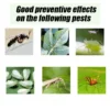 Omethoate Plant Insecticide