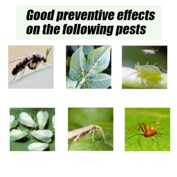 Omethoate Plant Insecticide
