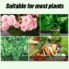 Omethoate Plant Insecticide