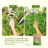 PlantFood Leaf Organic Fertiliser