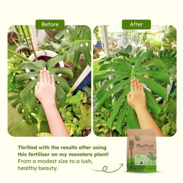 PlantFood Leaf Organic Fertiliser