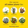 Miracle Gro Indoor Plant Food 223g