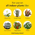 Miracle Gro Indoor Plant Food 223g