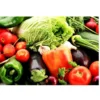 Fish Protein Liquid Organic Fertilizer