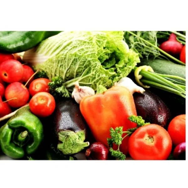Fish Protein Liquid Organic Fertilizer