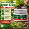 Imidacloprid Soil Insecticide Granules 60g