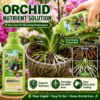 1 Drop Bloom Orchid Fertilizer