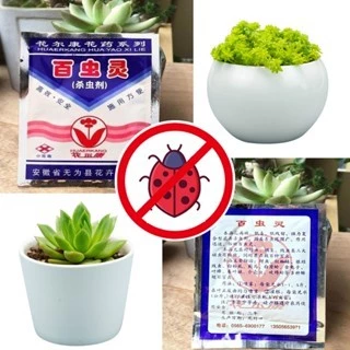 10g Baichongling Plant Insecticide