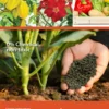 BABA Mr Ganick Organic Fertilizer