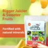 BABA Mr Ganick Organic Fertilizer