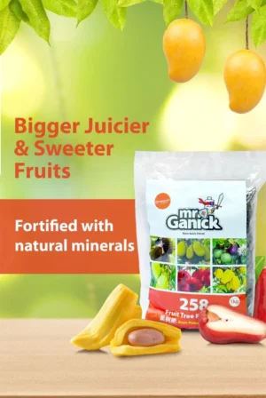 BABA Mr Ganick Organic Fertilizer