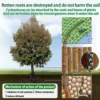Hexazinone Tree Weed Killer 500g