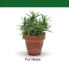 Organic Chicken Manure Fertilizer 5kg
